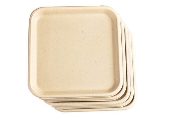 CHASKA 9 inch MINI MEAL